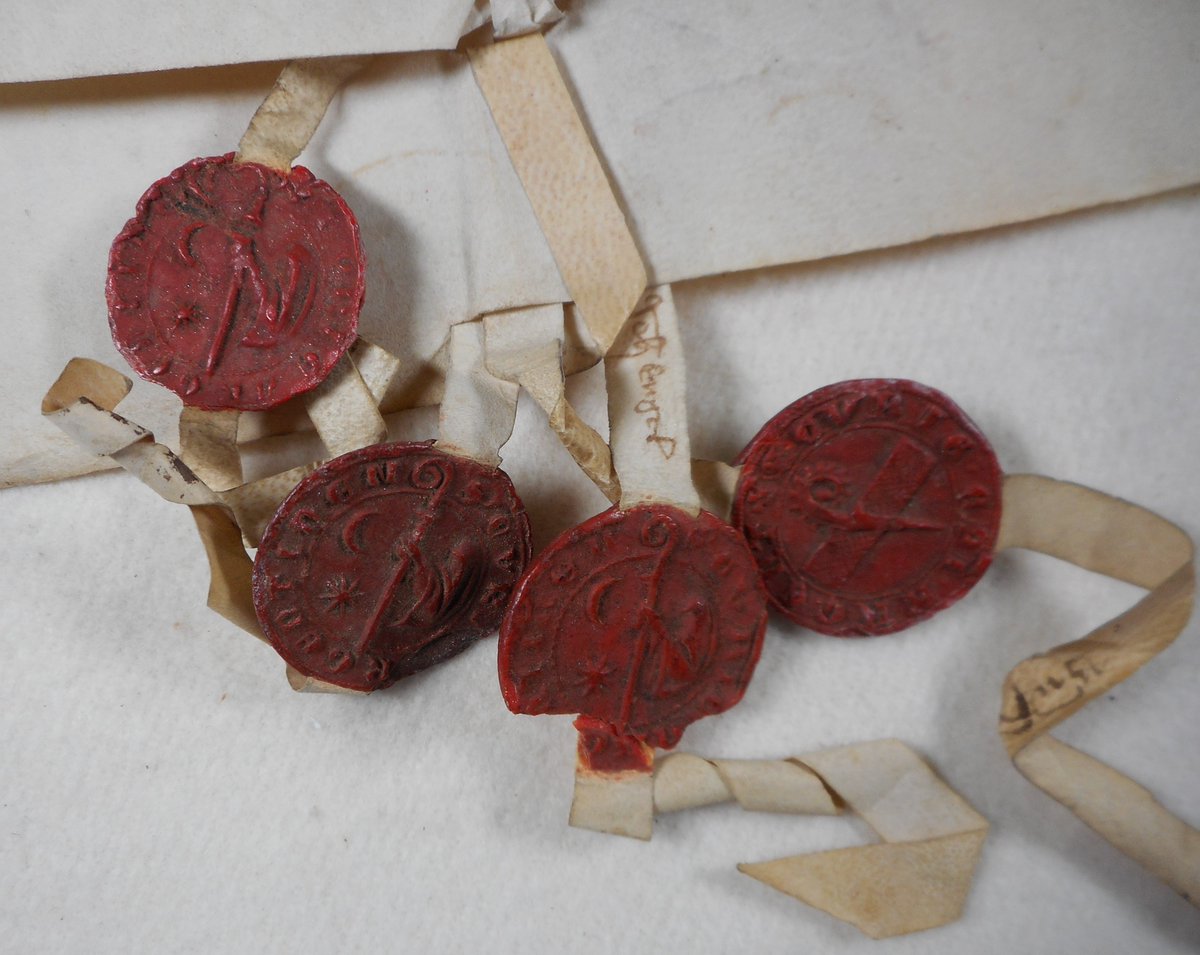 #LeSceauDuMardi en retard (oups)... Sur l'#archisapin il faut encore une belle guirlande de sceaux de l'officialité de Strasbourg, bien sûr !!
Actes transfixes les uns aux autres conservés aux <a href="/ArchivesStras/">Archives Strasbourg</a> et datant entre 1340 et 1387 !
sigilla.irht.cnrs.fr/226774