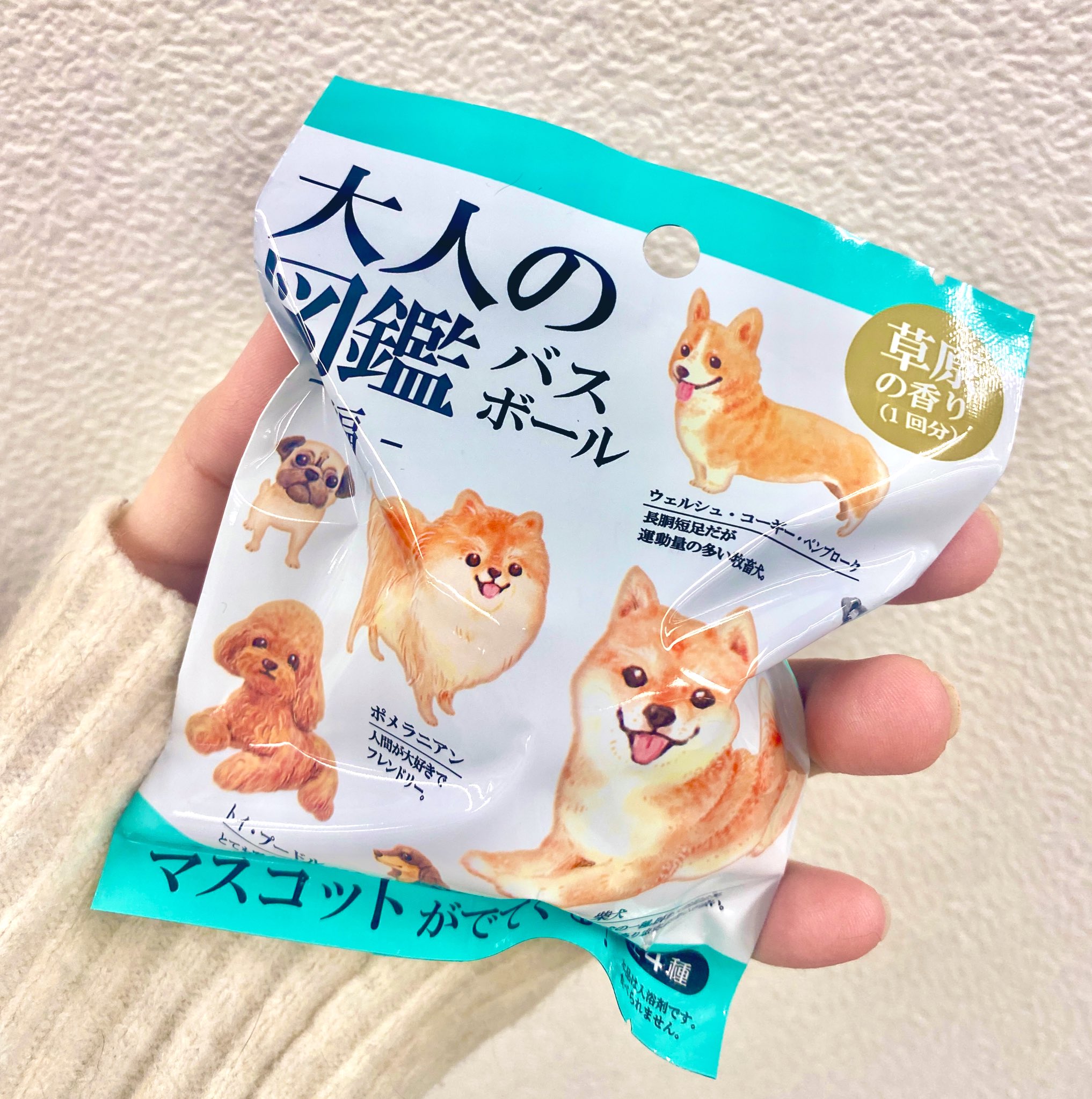 バスボール 全4種 24個入セット 入浴剤 大人の図鑑 犬編 カミオ