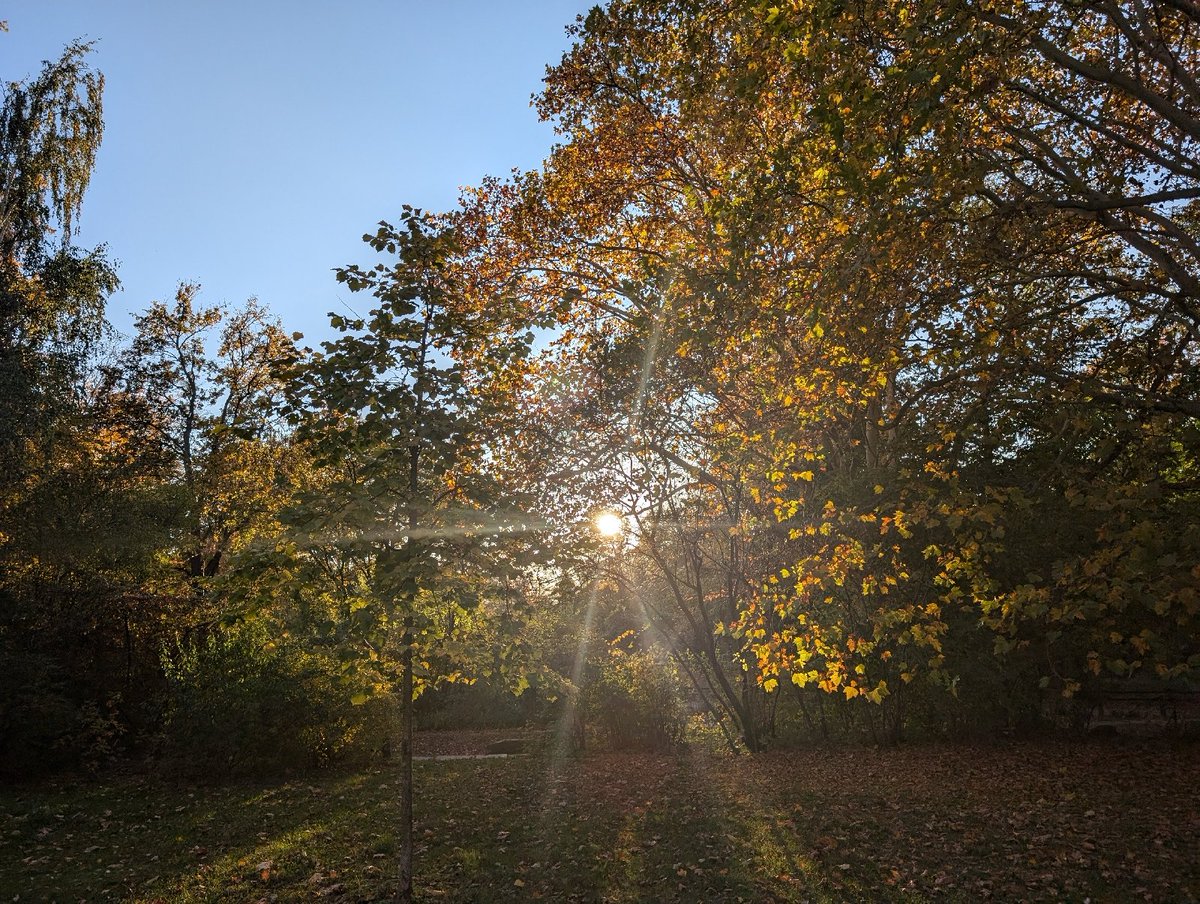 mehrwortwert's tweet image. #Haiku vom seltenen #Sonnenglück im #Spätherbst, das alles durchleuchtet.

 flaneurgedichte.blogspot.com/2024/12/sonnen…