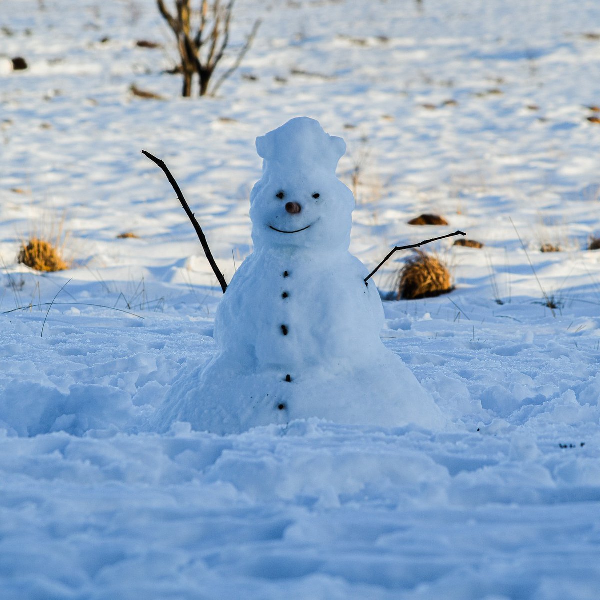 Český hydrometeorologický ústav (ČHMÚ) tweet media
