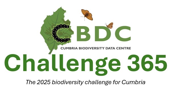 Looking for a New Year resolution?

Want to do something for nature every day in 2025 but don't have much time?

If you answered yes to these questions, we have something that might interest you....

Challenge 365: starting on 1st January

Sign up now!

cbdc.org.uk/recording-wild…