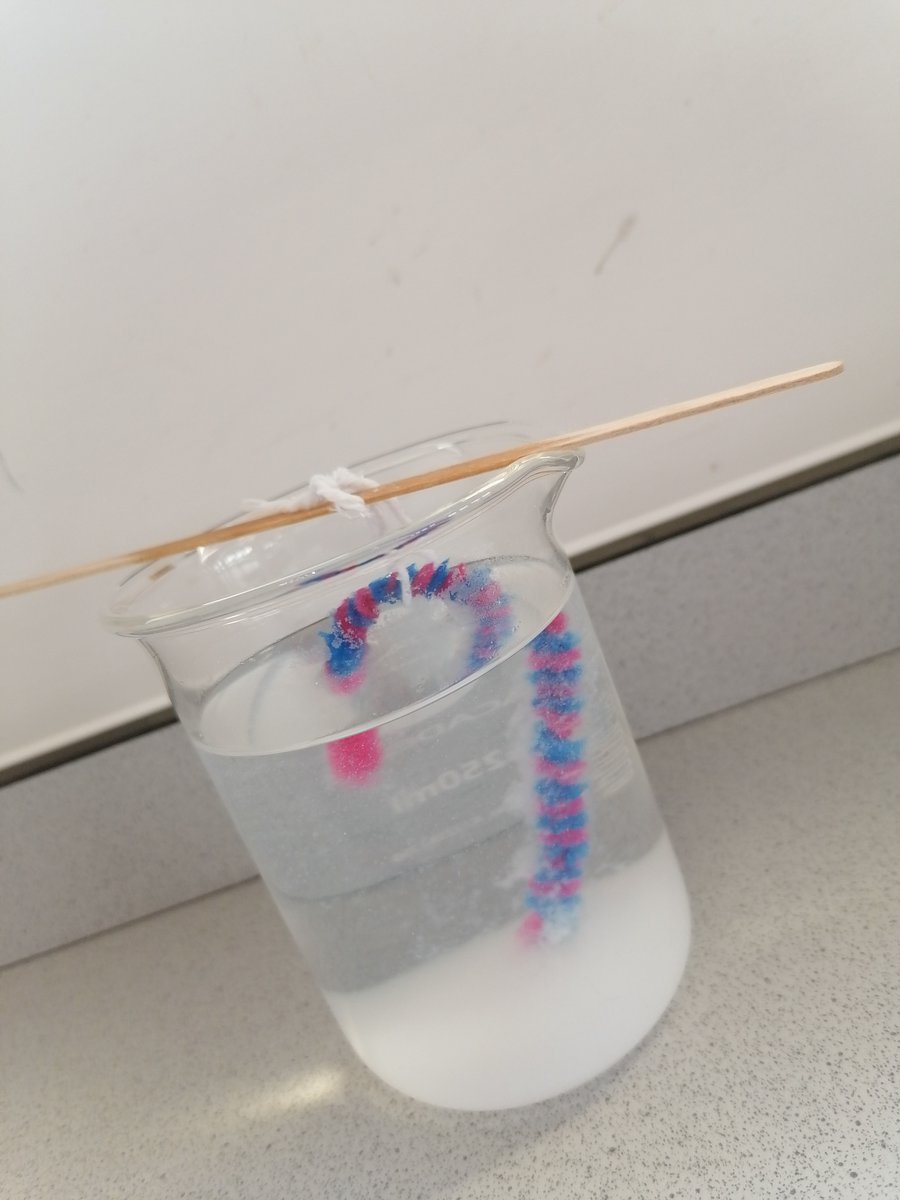 CrestwoodSchool's tweet photo. Year 10 have been making candy canes to investigate supersaturation. https://t.co/X4mhy8zPmR