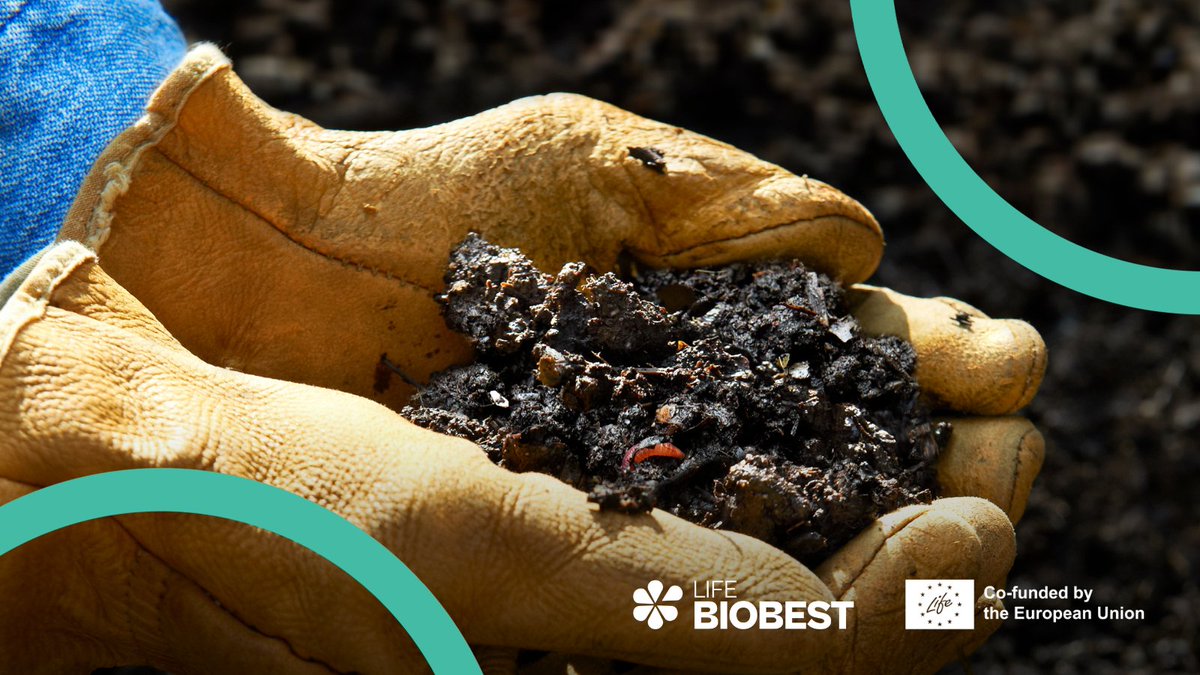 📢 Fresh from #LIFEBIOBEST: Three game-changing resources for better EU #biowaste management!

📋 Guidelines Summary: zurl.co/vYQKv

📈 Best Practices Assessment Matrix: zurl.co/upLAX

🌟 EU Quality Standards Proposal: zurl.co/hbQS8