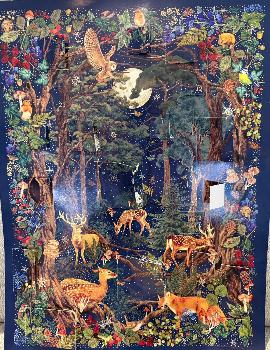 MarvellousMinds's tweet image. Day 18 of the writer&apos;s advent calendar... it&apos;s a moth! What a stunner.
Today&apos;s challenge is to write a haiku about a moth in a winter storm.
#AdventChallenge
#WritingCommunity 
#WinterJoy