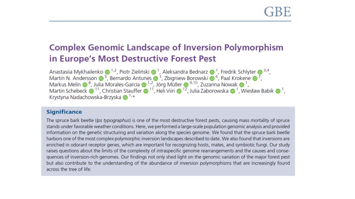 And finally formatted :) 
Complex Genomic Landscape of Inversion Polymorphism in Europe's Most Destructive Forest Pest academic.oup.com/gbe/article/16…