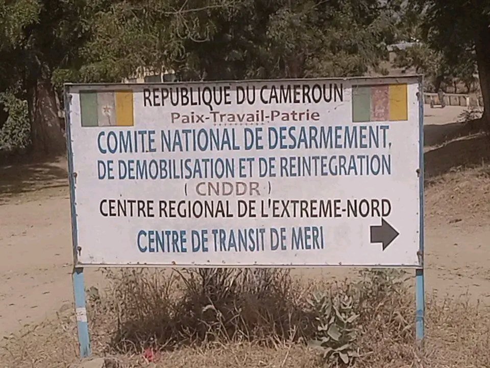 EchosTaibotak's tweet photo. đšđČ Cameroun | Le ComitĂ© national de dĂ©sarmement, de dĂ©mobilisation et de rĂ©intĂ©gration procĂšde ce jour Ă la rĂ©insertion sociale de plus de 700 combattants repentis dans lâExtrĂȘme-Nord.
#HEBDOS https://t.co/nVvo4PfLwm