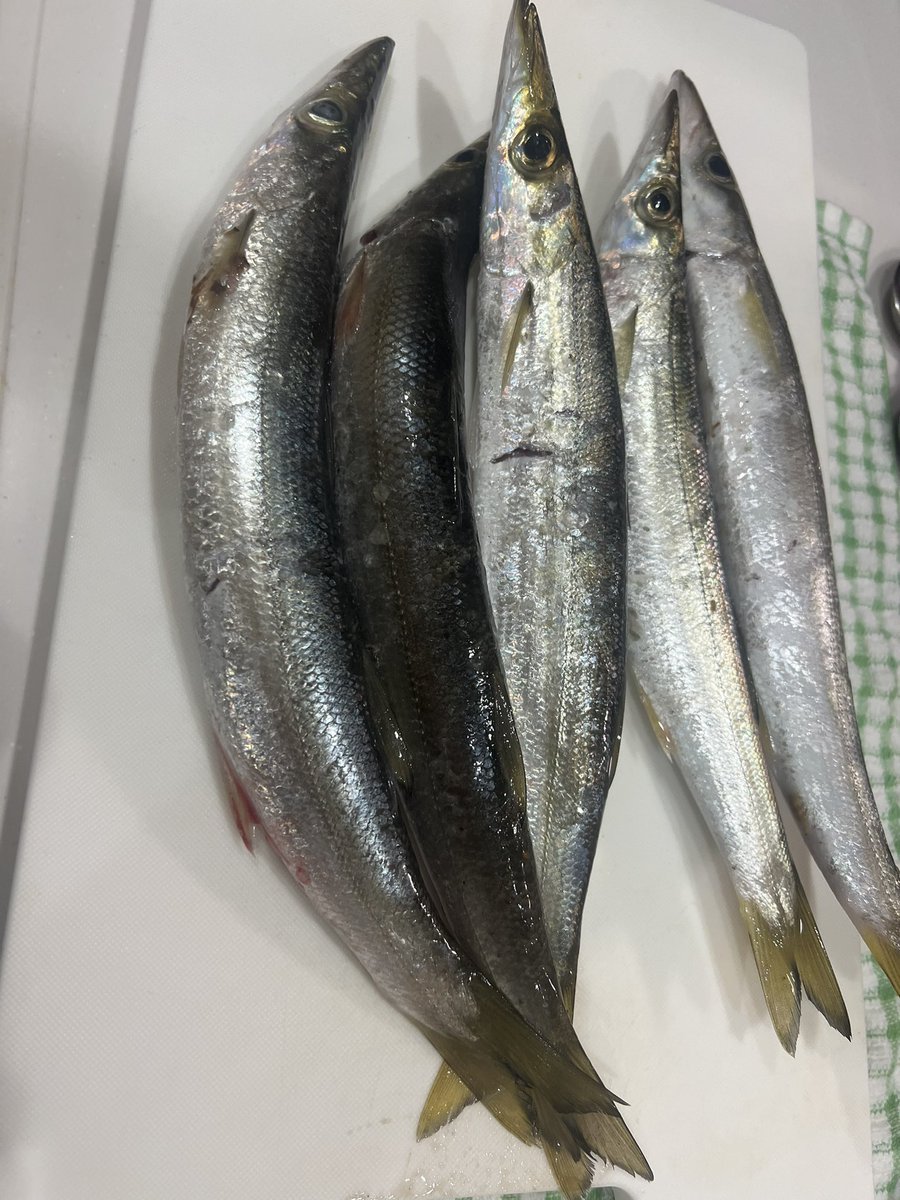 イマイチわからんデカさ