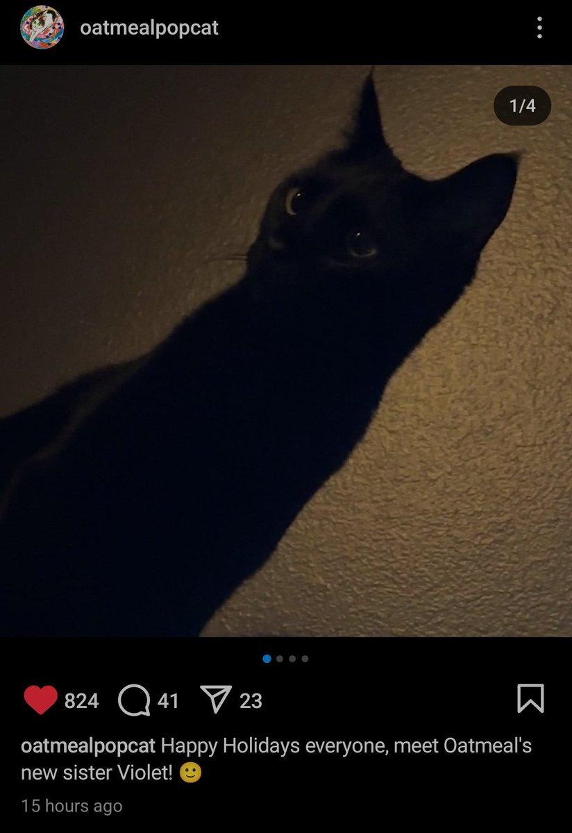 <a href="/OOPS_NFT/">NAMIL.sol</a> $popcat sister looking to go back to ath $violet 

ACLTkLQ1SiBZVkLD1ue9KYG9wUSKnjrEmMQQ5BRerPH5
