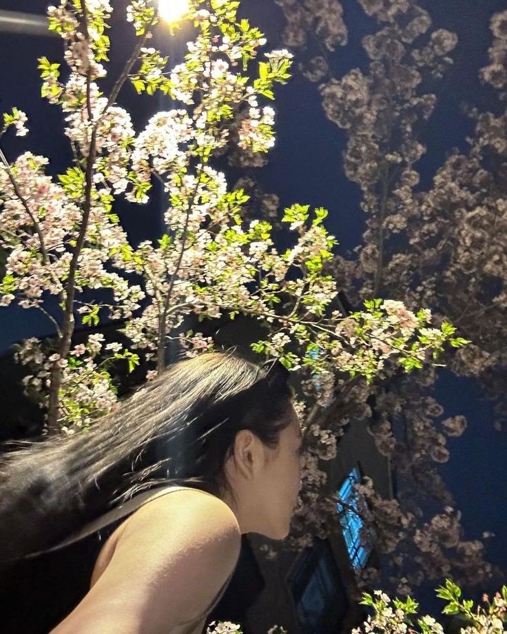 Day ⛅️                                   Night 🌙