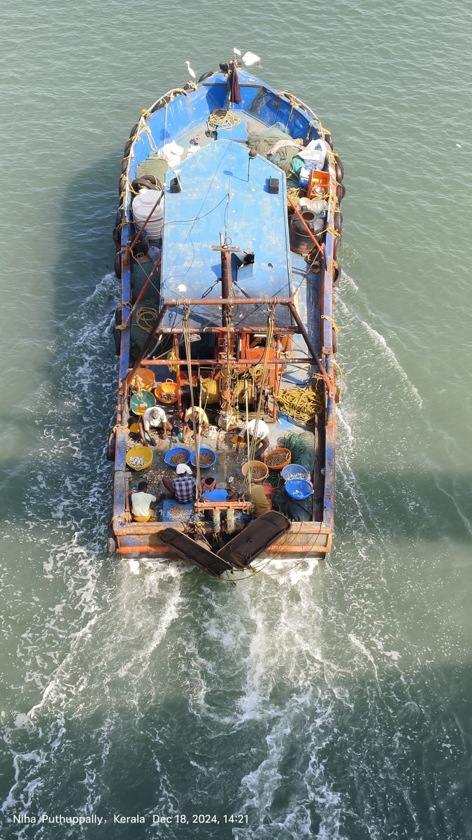 Anand02908794's tweet photo. Fresh catch! ๐๐ฃ A mechanized trawler returns to Azheekal Harbour with delectable seafood:
๐ฆ Metapenaeus dobsoni
๐ฆ Parapenaeus stylifera
๐ฆ Portunus sanguinolentus
#SeafoodLovers #FreshCatch #AzheekalHarbour #Kerala #India #FishingIndustry #SustainableSeafood #OceanToTable #SeafoodEnthusiasts #FishermenLife #CoastalLiving #MarineLife #TrawlerLife
#GlobalSeafood #SeafoodInternational #FishingWorldwide #SustainableFishing #OceanConservation #SeafoodIndustry #FisheriesManagement