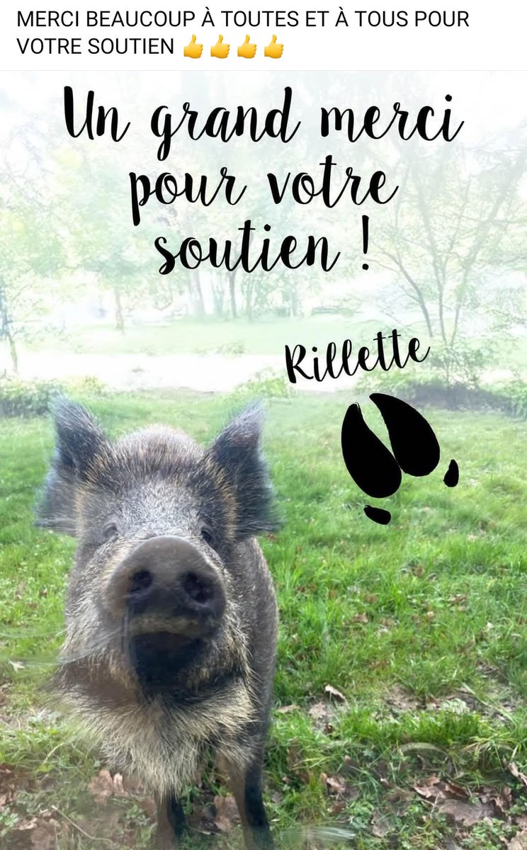 BlandineSt29091's tweet image. ,🆘 #SauvezRillette