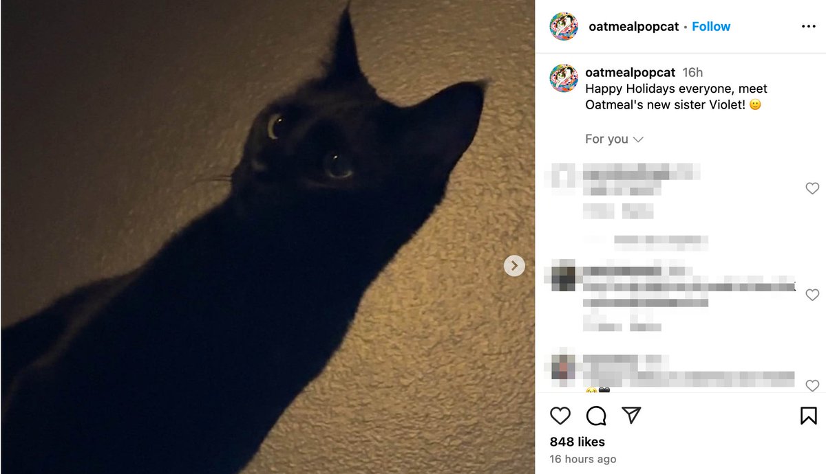 Random Crypto Chad tweet media