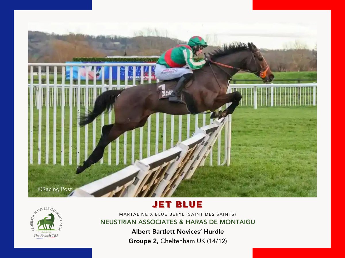 Fedeeleveurs's tweet photo. 🥇Félicitations à Neustrian Associates et au Haras de Montaigu, éleveurs de JET BLUE, fils de #Martaline, pour sa victoire dans le Albert Bartlett Novices' Hurdle, Groupe 2 à Cheltenham en Angleterre (14/12) ! 💯
Bravo à tout son entourage !
#bravoanoseleveurs https://t.co/UWFpwCyFl6