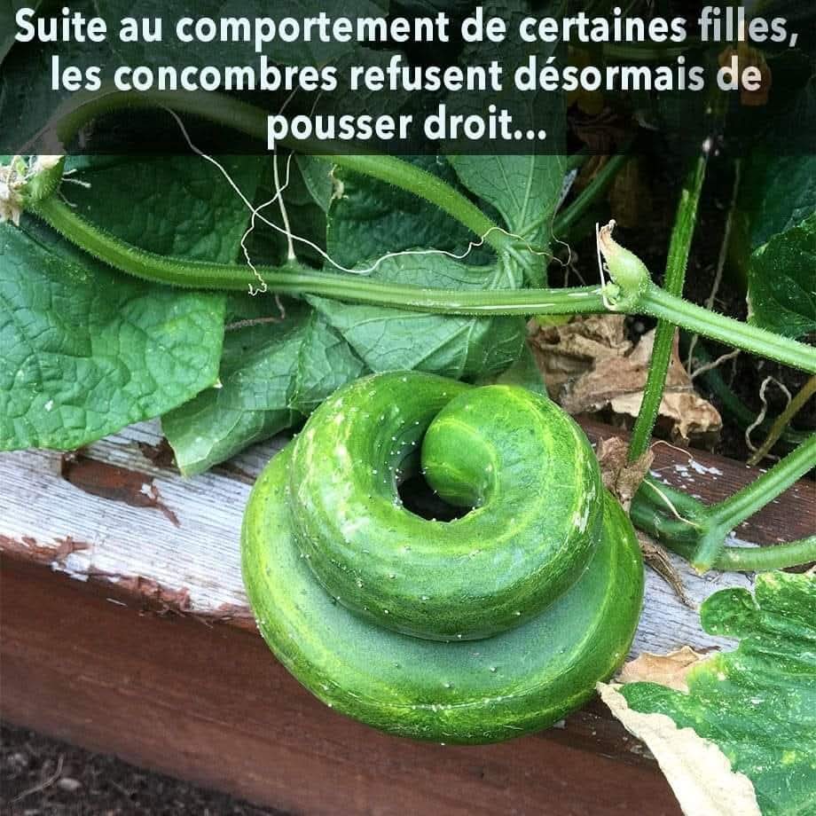 AuthentikBis's tweet image. 🙄😂