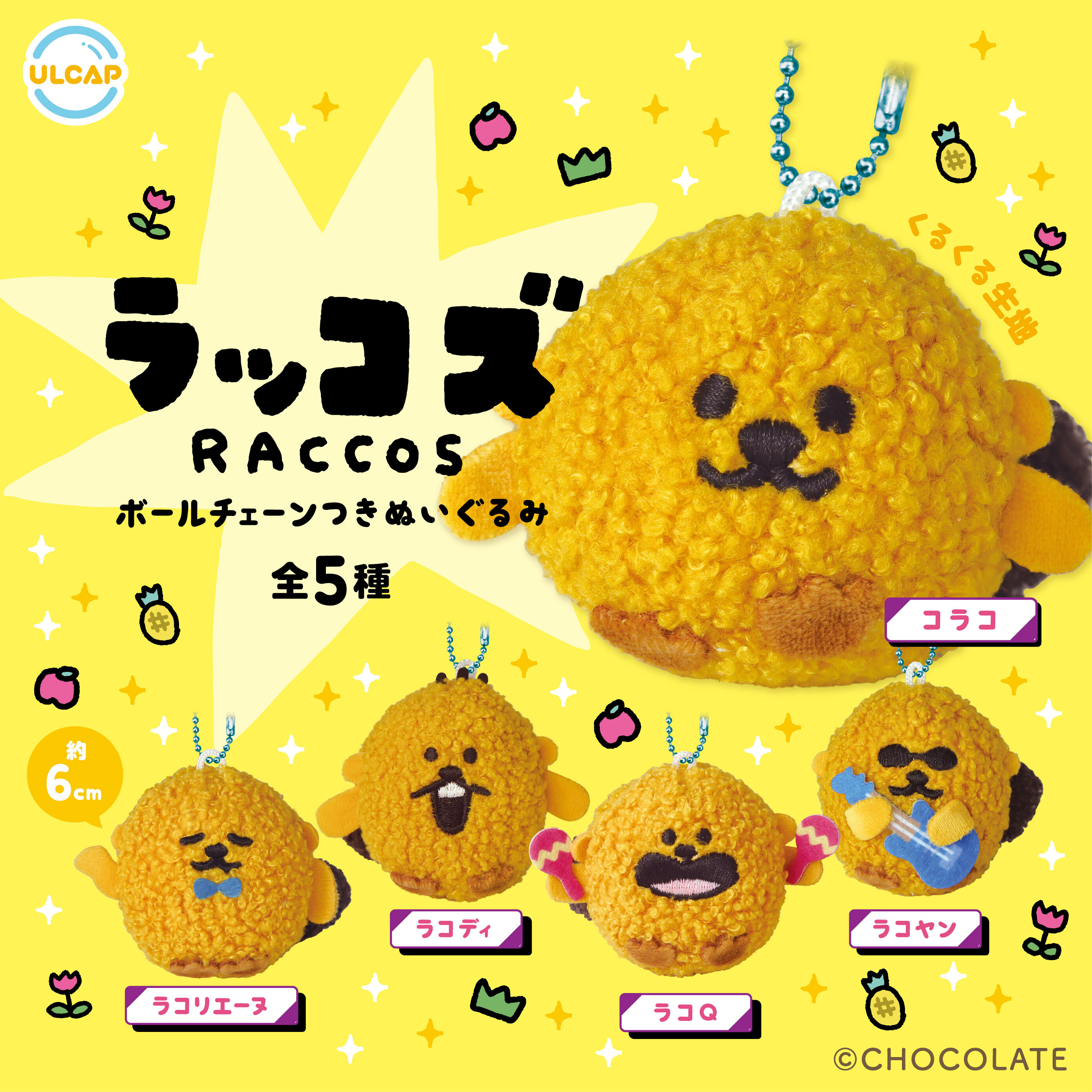 ラッコズ STAFF on X: 