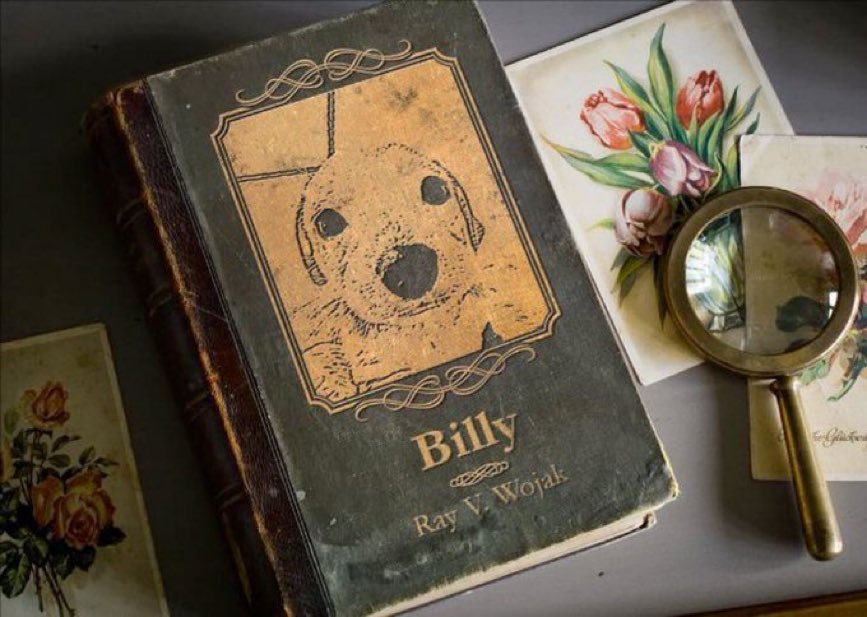 study $BILLY