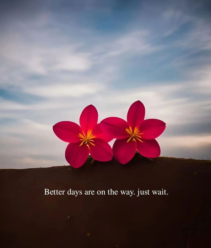 POSITIVITY (@positivitysaid) on Twitter photo 