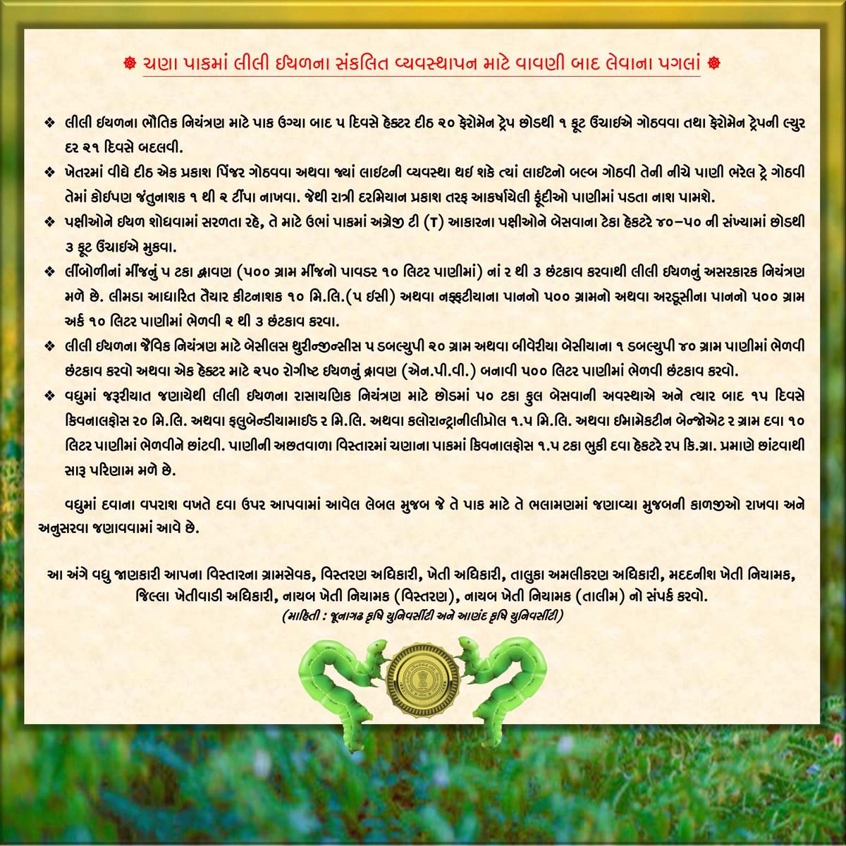 dao_botad's tweet photo. 🐛 ચણા પાકમાં લીલી ઈયળના સંકલિત વ્યવસ્થાપન માટે વાવણી બાદ લેવાના પગલાં 🐛

#Caterpillar https://t.co/8Z2sExP9jm