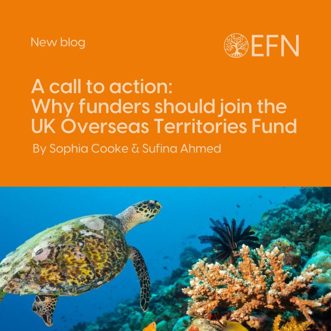 The UKOTs host the 5th largest marine estate but get just 0.03% of UK philanthropic funding. 

In our new blog, learn how @JohnEllermanFDN -led UKOTs Fund is driving conservation with big impacts: 

New funding round in 2025—get involved! buff.ly/4ix5UoR