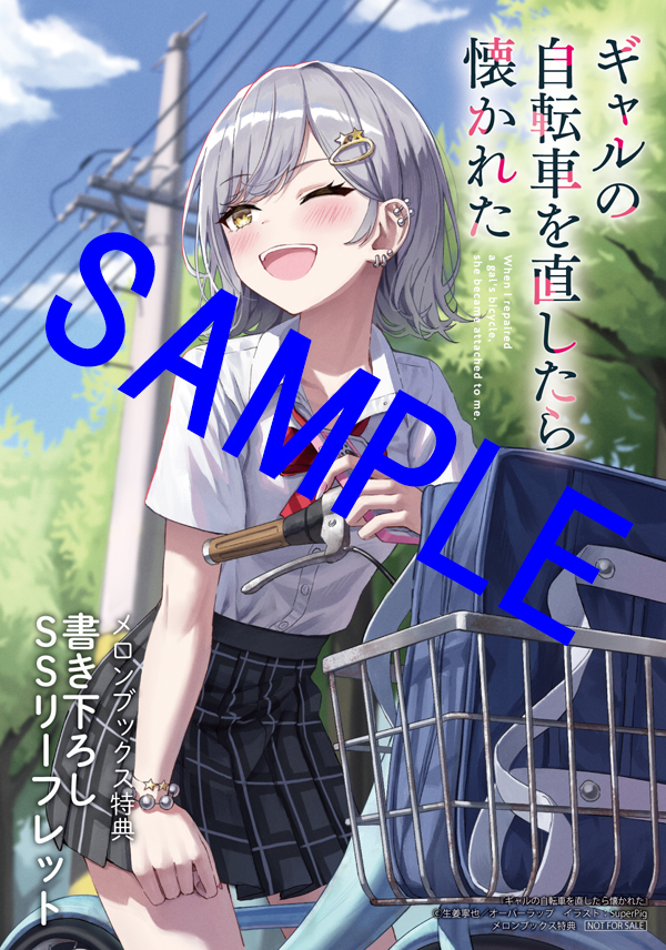 ダブルギャル自転車です