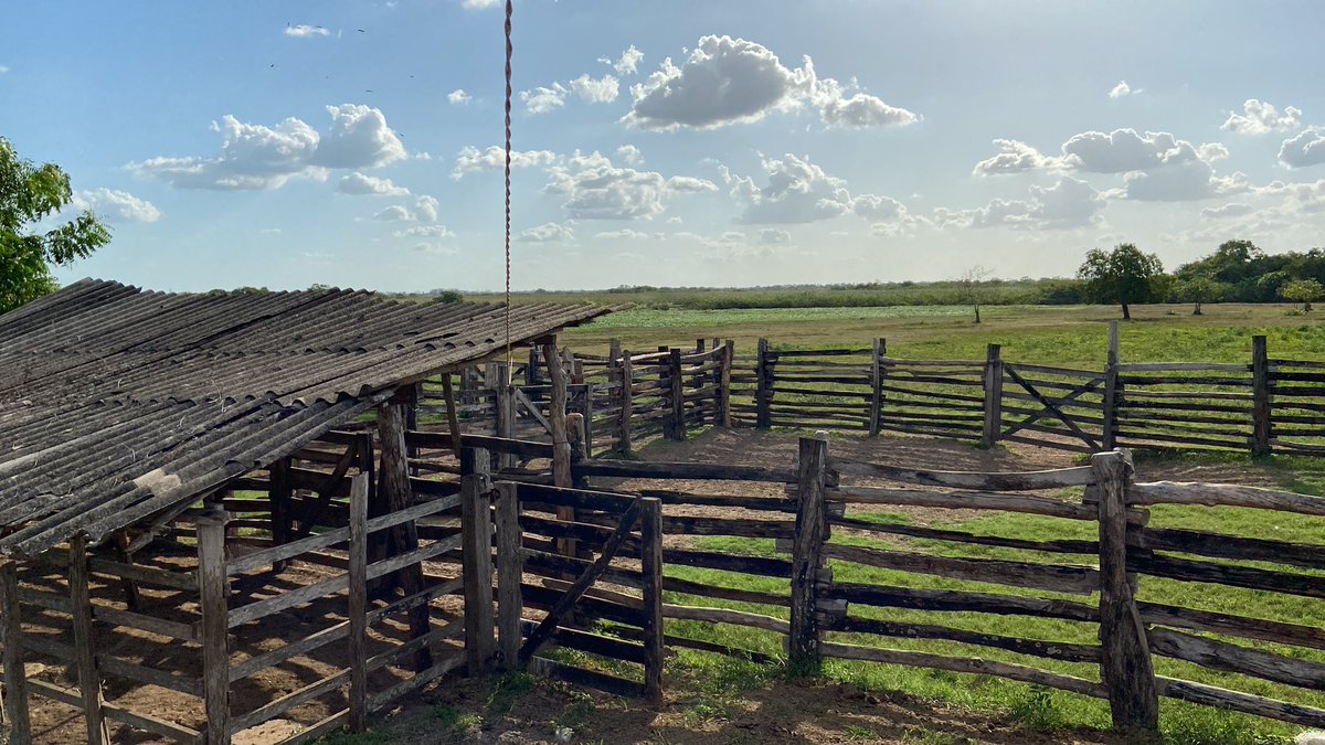 italocrfla's tweet image. Bom dia, amigos do X!

O tão falado selo voltou, graças a Deus!
Desejo a todos uma ótima quarta-feira, e que possamos ter boas notícias e ótimas oportunidades! 🙏🏻