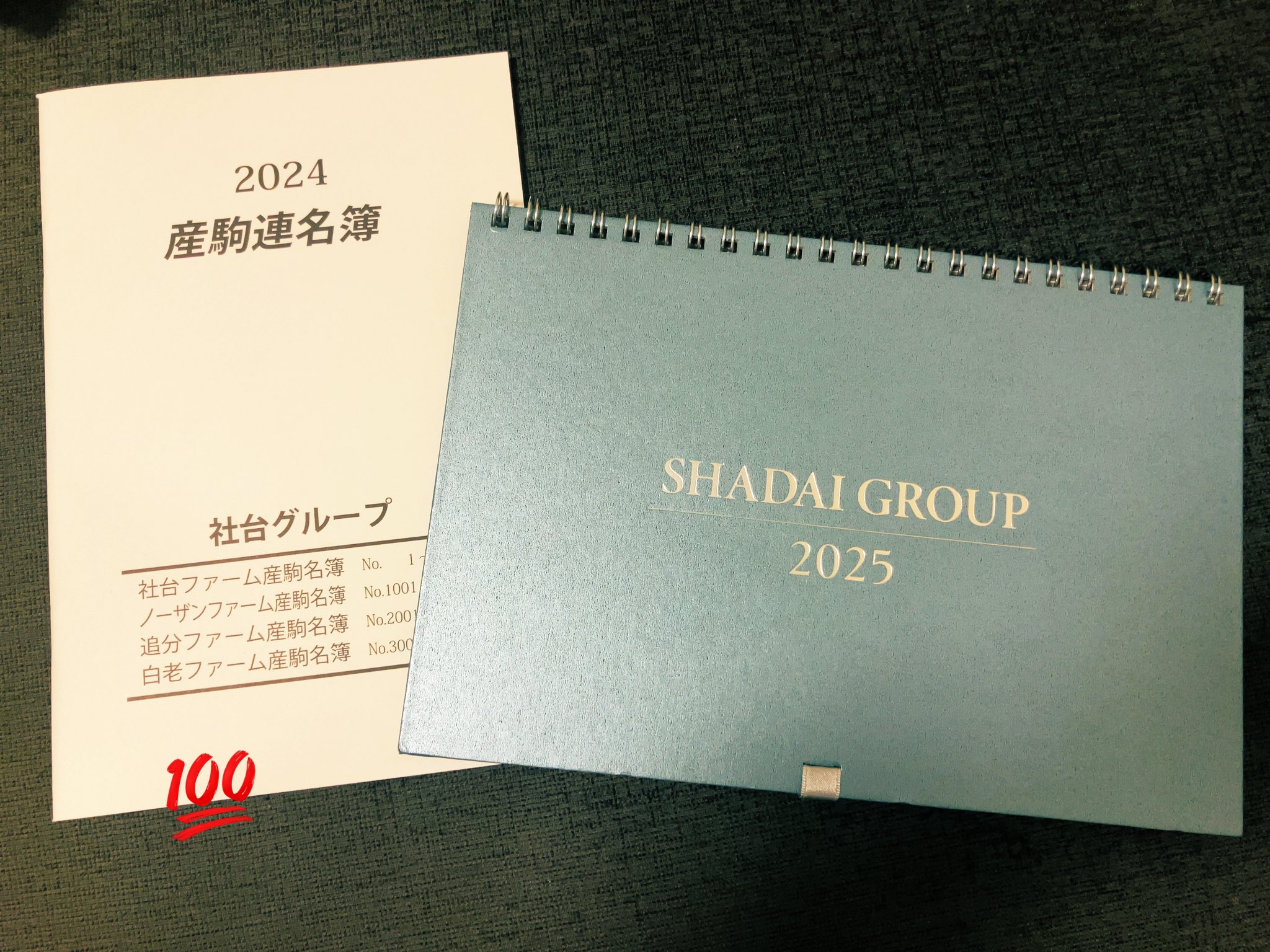 非売品・レア】社台グループ 2025 卓上カレンダー 競馬（社台