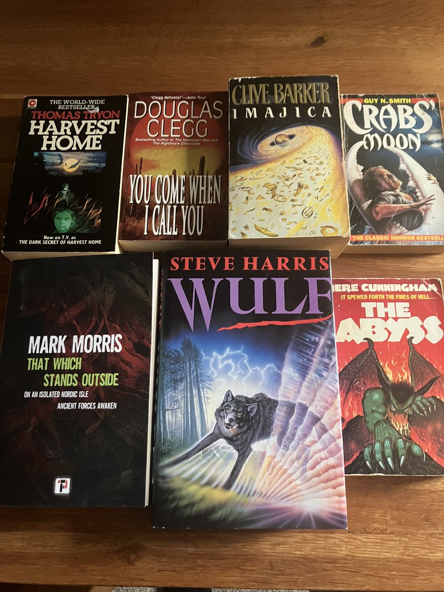 MattPayne1973's tweet photo. In 2025 I will try and complete my TBR pile before buying any more…..(doubtful) #clivebarker #douglasclegg #guynsmith #markmorris #thomastryon - I will continue to dip in and out of my #deankoontz bundle in and amongst… https://t.co/VFzQdwxcjM
