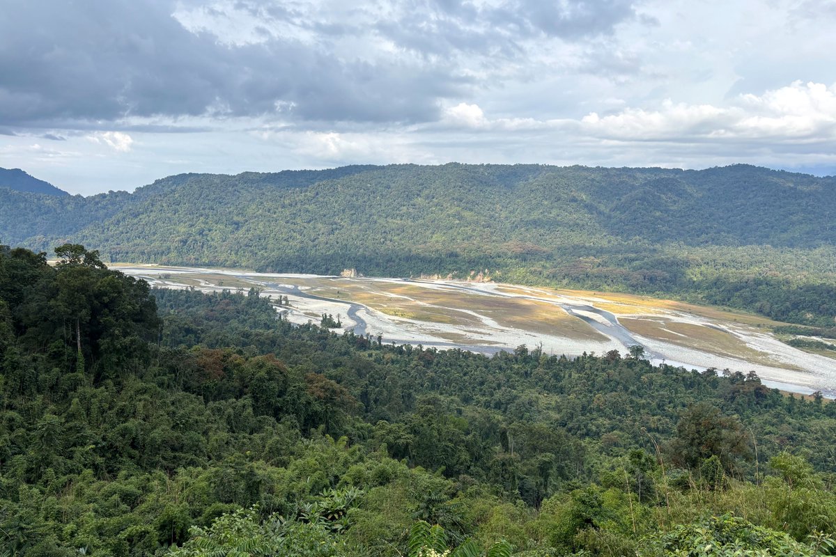 Daniel Branch tweet media