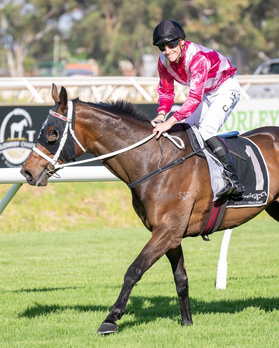 A perfect steer and an ATA Stakes for Diamond Scene ✅