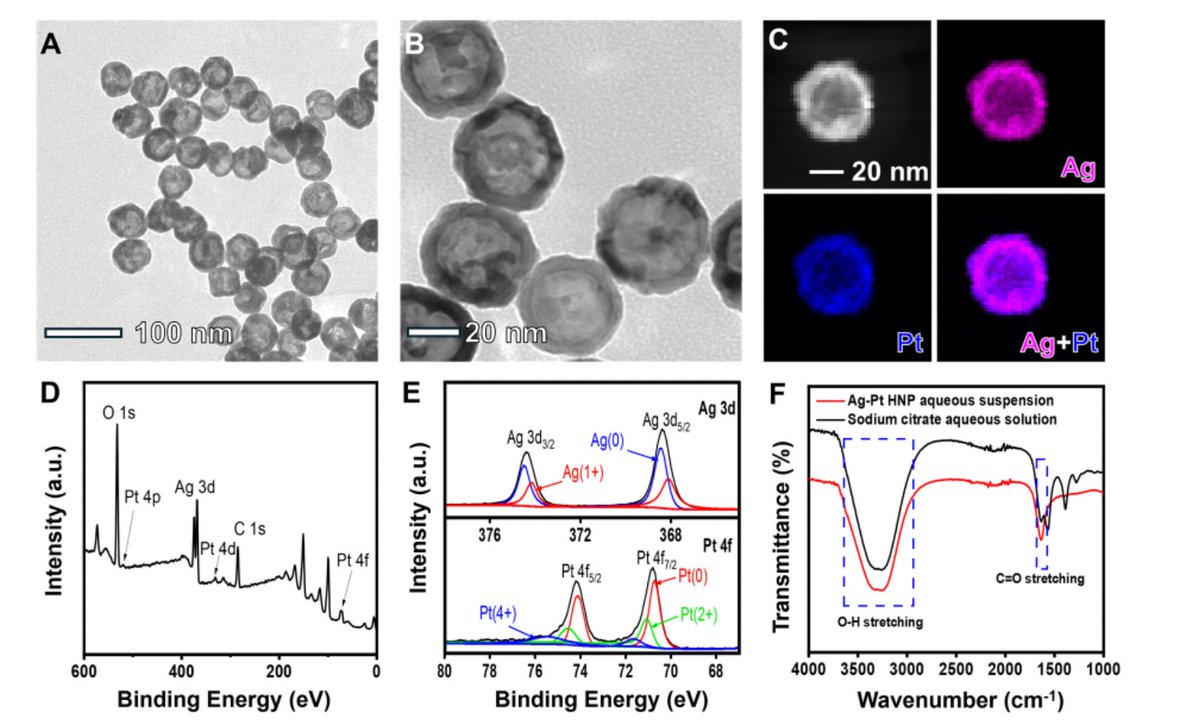 Scilight Materials tweet media