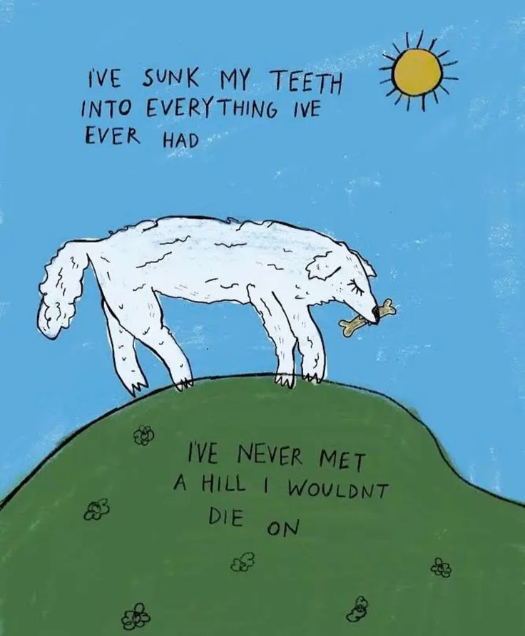 caninepoetry (@caninepoetry_) on Twitter photo 