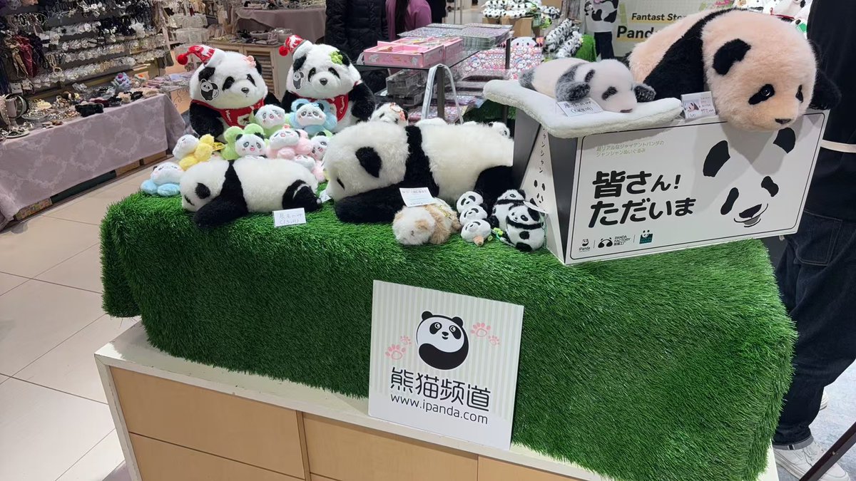 🎉本日12月18日（水）より、上野マルイ1階イベントスペースにてPOP UP SHOPがスタートしました！🎊
現場は大盛況✨「シャンシャン」やパンダグッズが大人気です！
上野でリアルな「シャンシャン」に会えるチャンス🐼ぜひ写真を撮って、素敵な思い出を作りましょう📸
📍【場所】上野マルイ