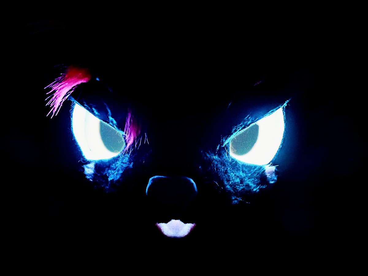 Showing off a lil ability of mine (;
I conquered the dark! >:3

#fursuit #FursuitEveryday #kemono