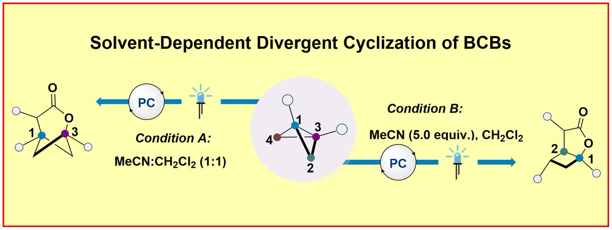 Frank Glorius (@gloriusfrank) on Twitter photo The SOLVENT RULES: 🫠🌊⚗️
Solvent-Dependent Divergent Cyclization of BCBs
by <a href="/GloriusGroup/">Glorius Group</a> <a href="/uni_muenster/">Universität Münster</a>
Just online in Angew. Chem. Int. Ed.:
onlinelibrary.wiley.com/doi/10.1002/an…
Greetings to cluster of excellence RESOLV <a href="/SolvationSci/">Solvation Science</a> The SOLVENT RULES: 🫠🌊⚗️
Solvent-Dependent Divergent Cyclization of BCBs
by <a href="/GloriusGroup/">Glorius Group</a> <a href="/uni_muenster/">Universität Münster</a>
Just online in Angew. Chem. Int. Ed.:
onlinelibrary.wiley.com/doi/10.1002/an…
Greetings to cluster of excellence RESOLV <a href="/SolvationSci/">Solvation Science</a>