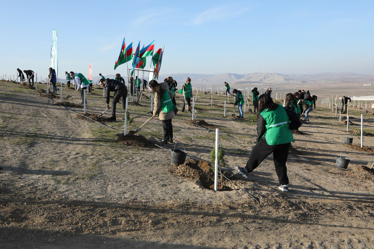 Dövlət Miqrasiya Xidməti State Migration Service (@migrationaze) on Twitter photo Tree-planting event held on the occasion of the #MigrantsDay & 🇦🇿's "Year of Solidarity for a Green World" alongside <a href="/IomAzerbaijan/">IOM Azerbaijan</a> & <a href="/ETSN_ecogovaz/">Ekologiya və Təbii Sərvətlər Nazirliyi</a>. #StateMigrationService #SMS Tree-planting event held on the occasion of the #MigrantsDay & 🇦🇿's "Year of Solidarity for a Green World" alongside <a href="/IomAzerbaijan/">IOM Azerbaijan</a> & <a href="/ETSN_ecogovaz/">Ekologiya və Təbii Sərvətlər Nazirliyi</a>. #StateMigrationService #SMS