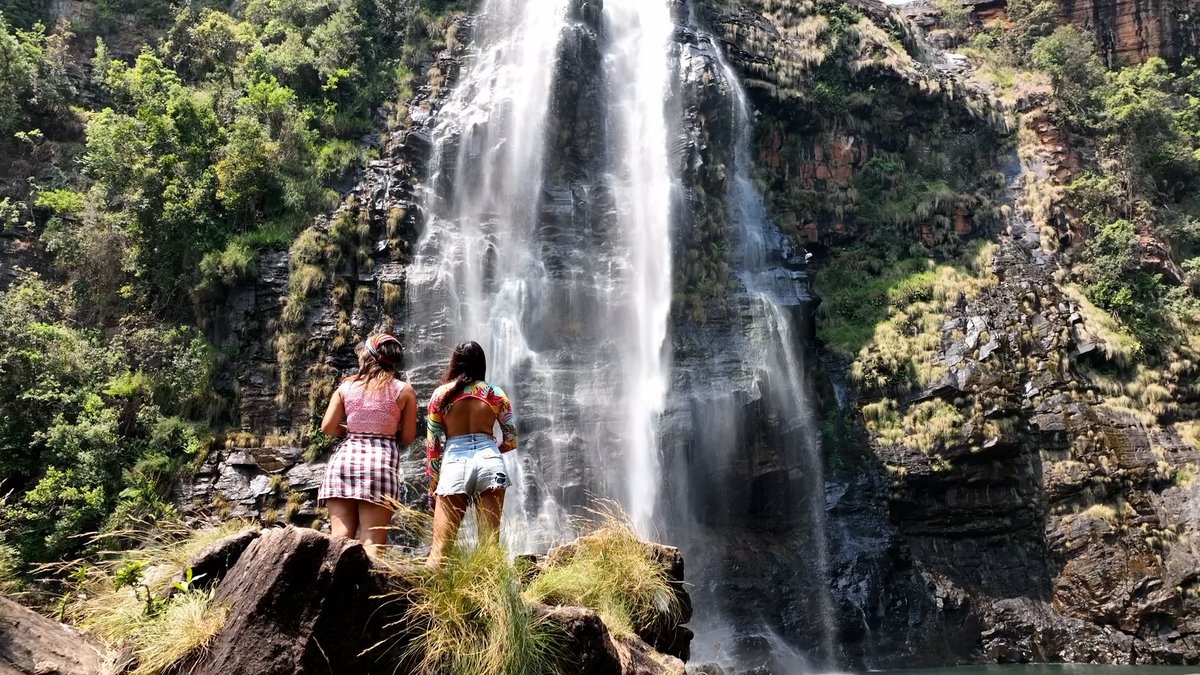 From the brink of extinction to living legends! Witness cheetahs up close at De Wildt Cheetah Farm in Hartebeespoort. Explore African grasslands, indigenous trees, and panoramic views of North West. #VisitSouthAfrica, Where nature’s wonders meet unforgettable adventure! 
#cheetah