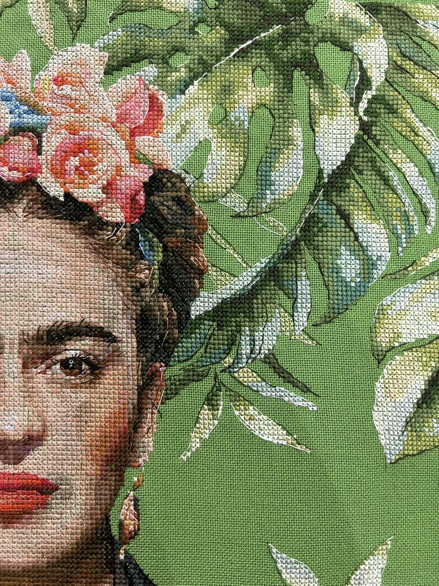 🌵тревожная запеканка🦎 tweet media