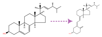 LIPID MAPS (@lipidmaps) on Twitter photo Born on Christmas Day in 1876, Adolf Otto Reinhold Windaus was a German chemist who won a <a href="/NobelPrize/">The Nobel Prize</a> in Chemistry in 1928 for his work on sterols and their relation to vitamins. Born on Christmas Day in 1876, Adolf Otto Reinhold Windaus was a German chemist who won a <a href="/NobelPrize/">The Nobel Prize</a> in Chemistry in 1928 for his work on sterols and their relation to vitamins.