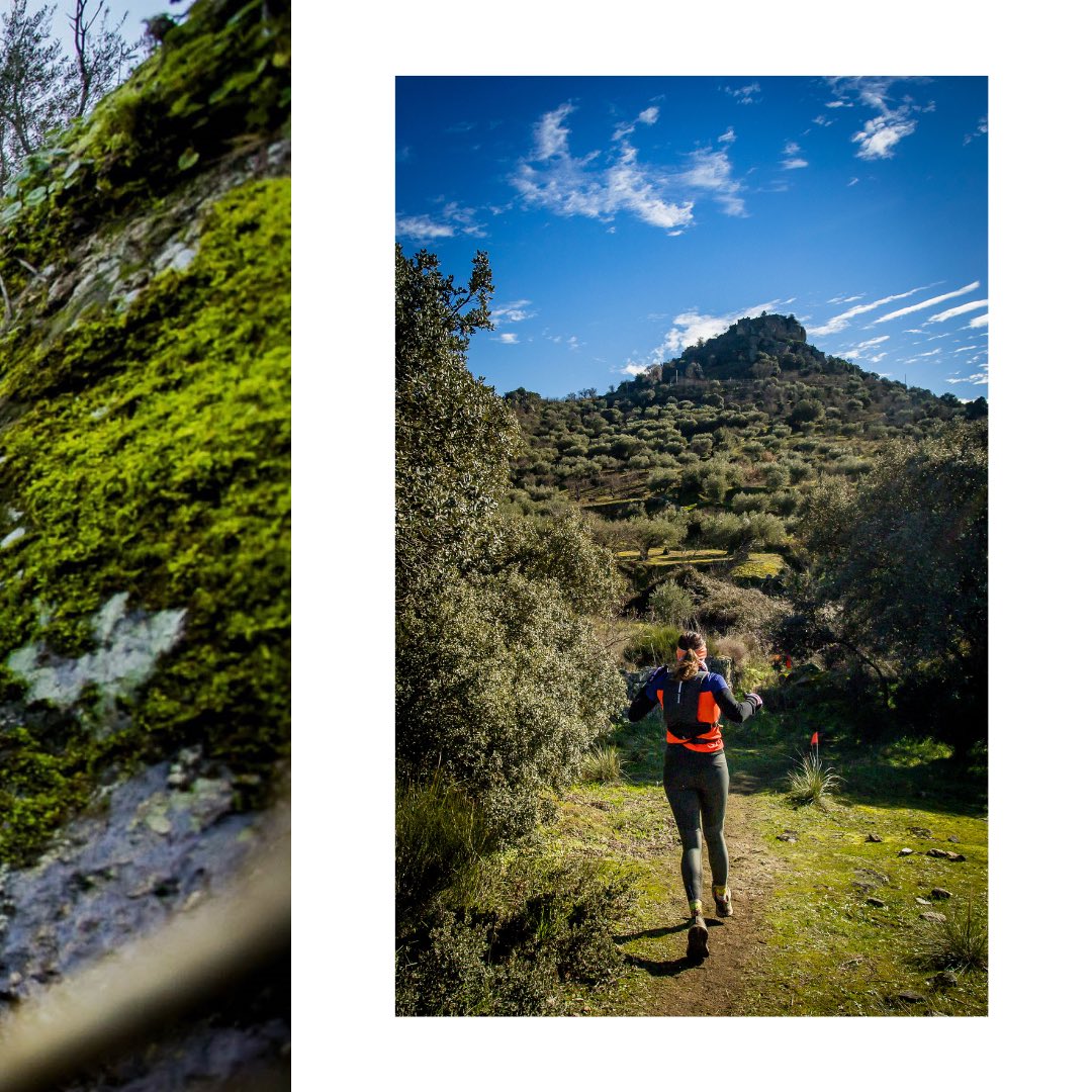 ¡Un mesecito! ⏳🏞️

Que sí, que solo falta un mes para volver a disfrutar de tu carrera favorita… 

🔜 18 y 19 de enero de 2025

Si aún no tienes tu dorsal reservado, no tardes en formalizar tu inscripción en mountime.es 

‼️ Las plazas están limitadas