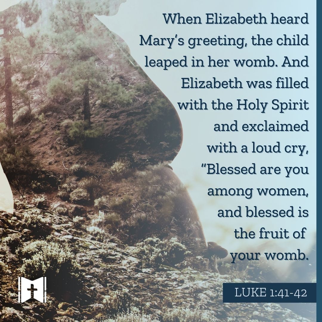 When Elizabeth heard Mary’s greeting, the child leaped in her womb. And Elizabeth was filled with the Holy Spirit and exclaimed with a loud cry, “Blessed are you among women, and blessed is the fruit of your womb. Luke 1:41-42

#WednesdaysWord