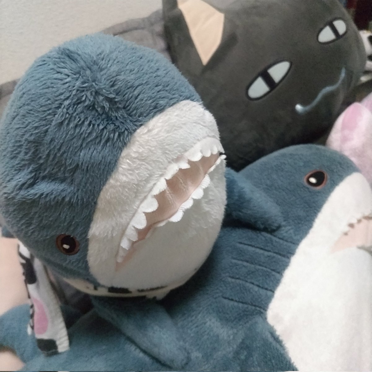 sanagimisayama's tweet photo. いくぞう「サナギさん、サイレントヒルやるたびめちゃくちゃ叫ぶ、めちゃくちゃうるさい…」
かまぼこ「でもなんかもうすぐ終わりそうだな！」
クロ(おれっちは知っている、まだずいぶん先が長いことを…)
かまぼこ「でもなんでサナギは怖いのに怖いゲームするんだろな」
クロ「そういうモノなのだよ」 https://t.co/066C0tBpxE