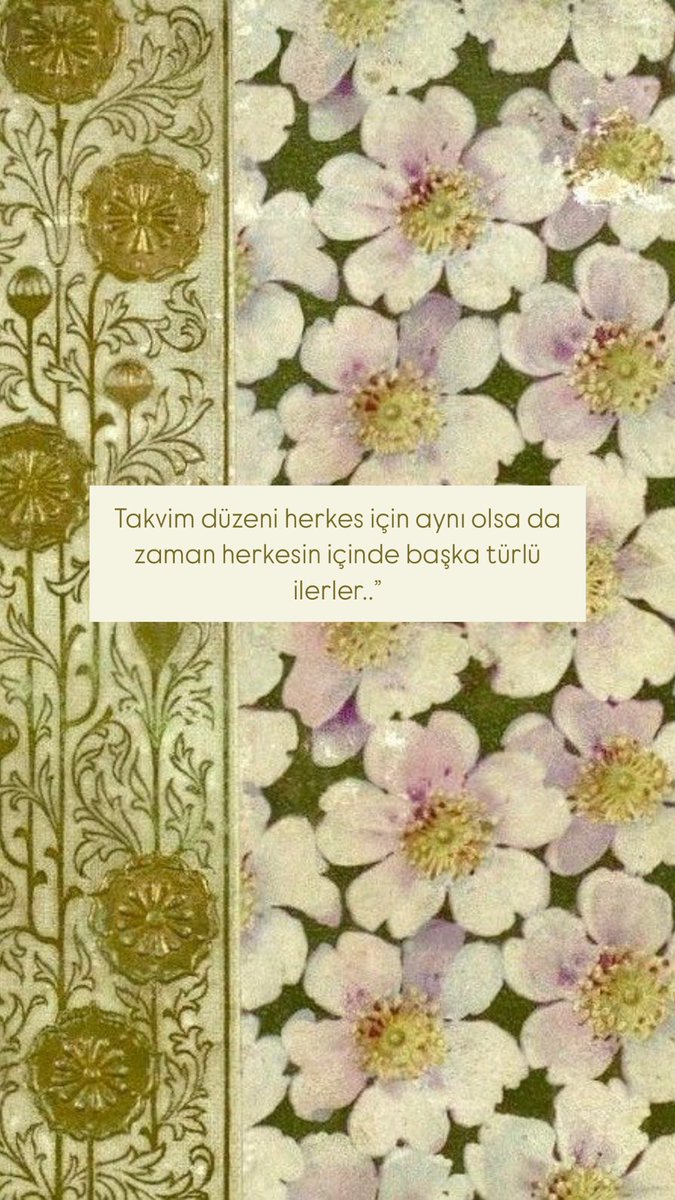 ckgsbd's tweet photo. https://t.co/Hxx8ijeqpv