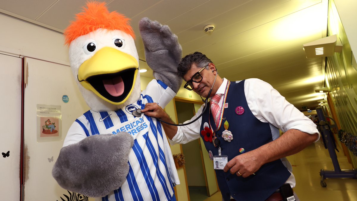 Brighton & Hove Albion tweet media