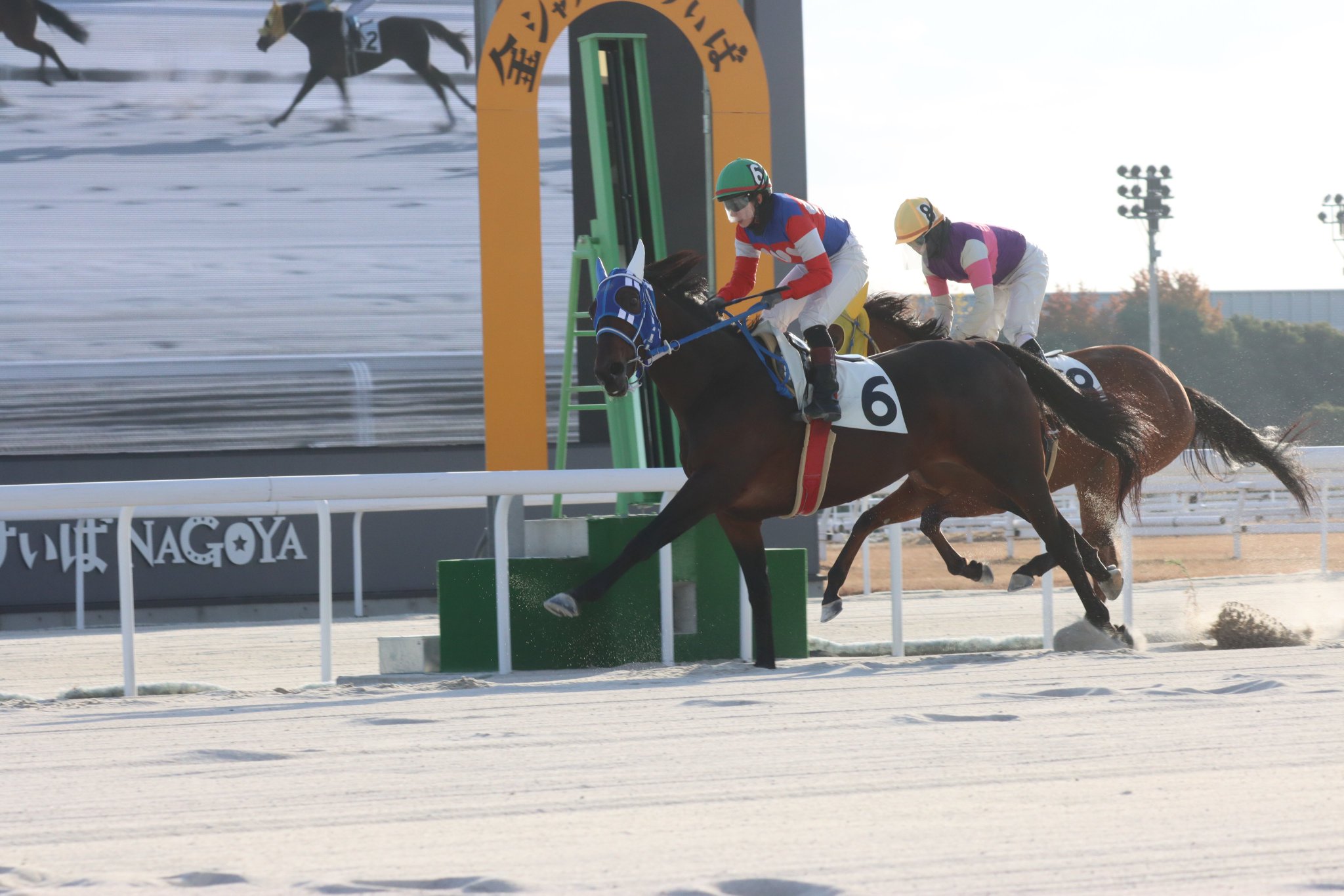 競馬 20250628 競馬ﾚｰｽﾄﾋﾟｯｸ 18【差し決着!!】'25函1-5-03R D1700 3未