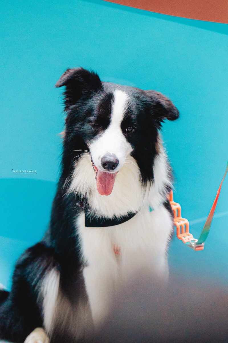ice_eepp's tweet photo. รูปนี้พี่เม่อหล่อจังงง ม๋าดาราาา 🥺

#sammerbcollie https://t.co/OUYBBPEu05
