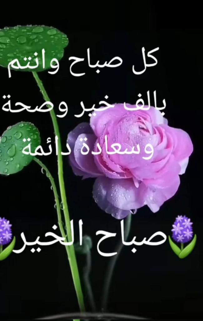 FrajSaba's tweet photo. @Mohamed44063072 https://t.co/0NVjWH3K0R