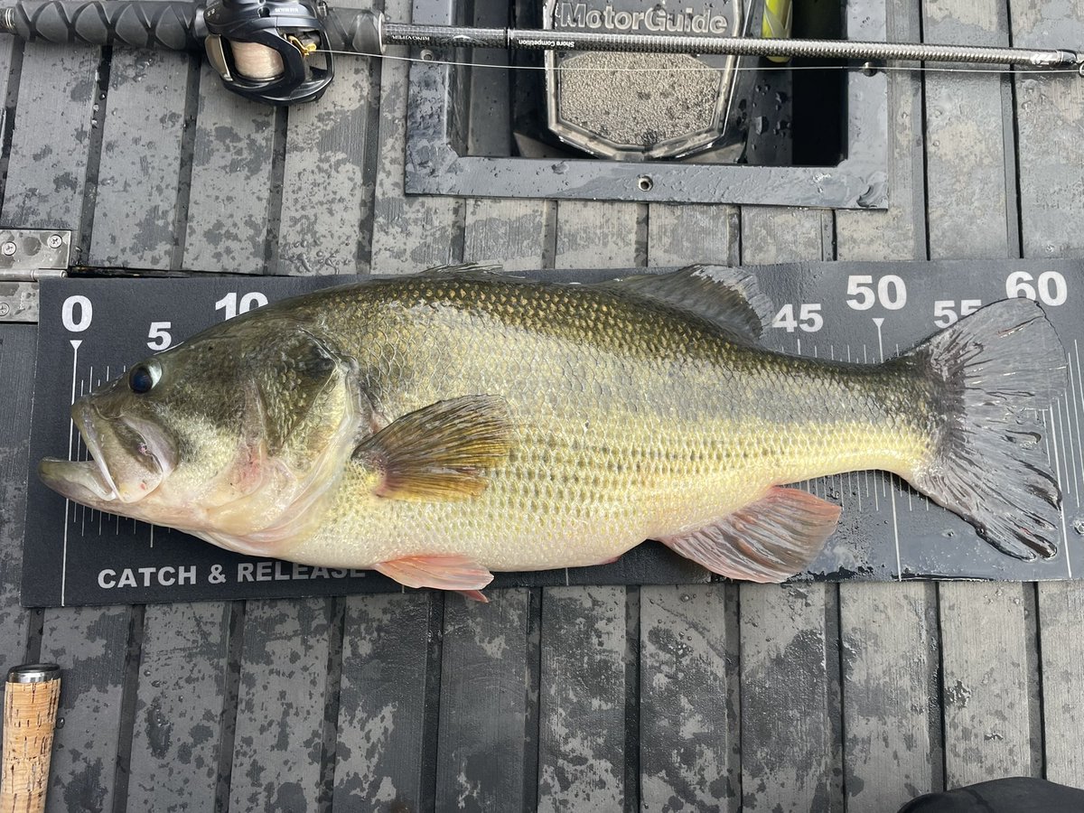 12/18 相模湖。
ロクマル釣れました。
最高！