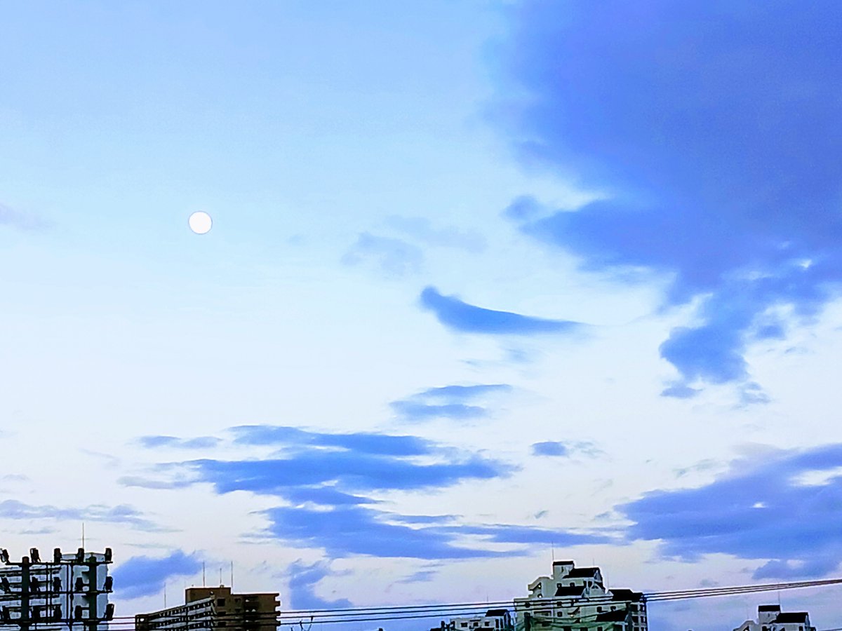SurfCona's tweet photo. お疲れ様です🍄✨
素敵な一夜をお過ごしください🐳🪴 https://t.co/NmUjZCpEjD