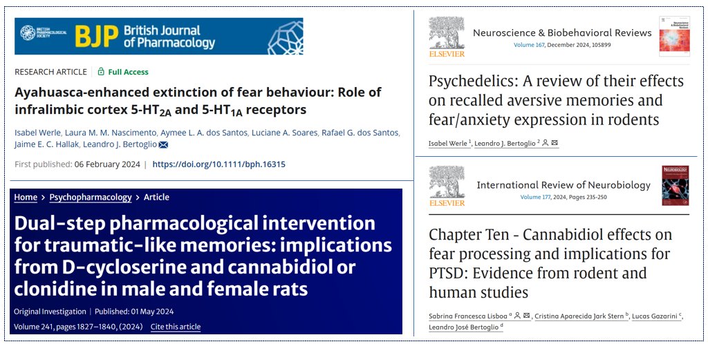 Bertoglio lab (FMC/UFSC) tweet media