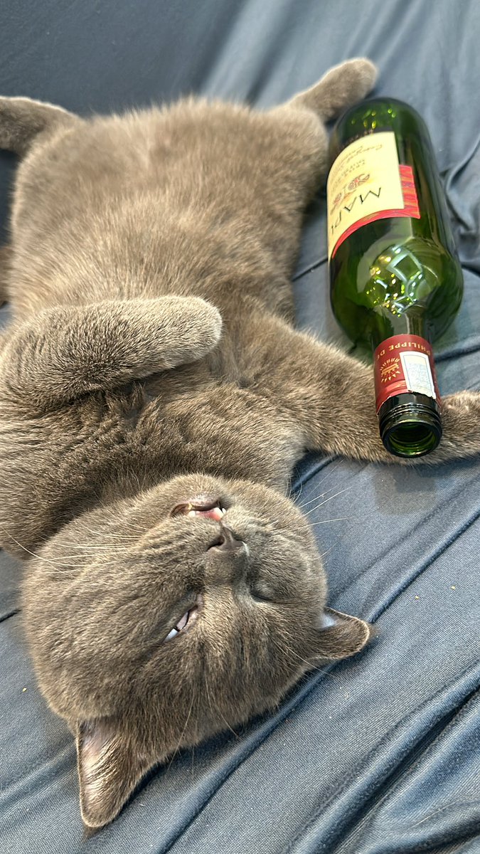 GM
